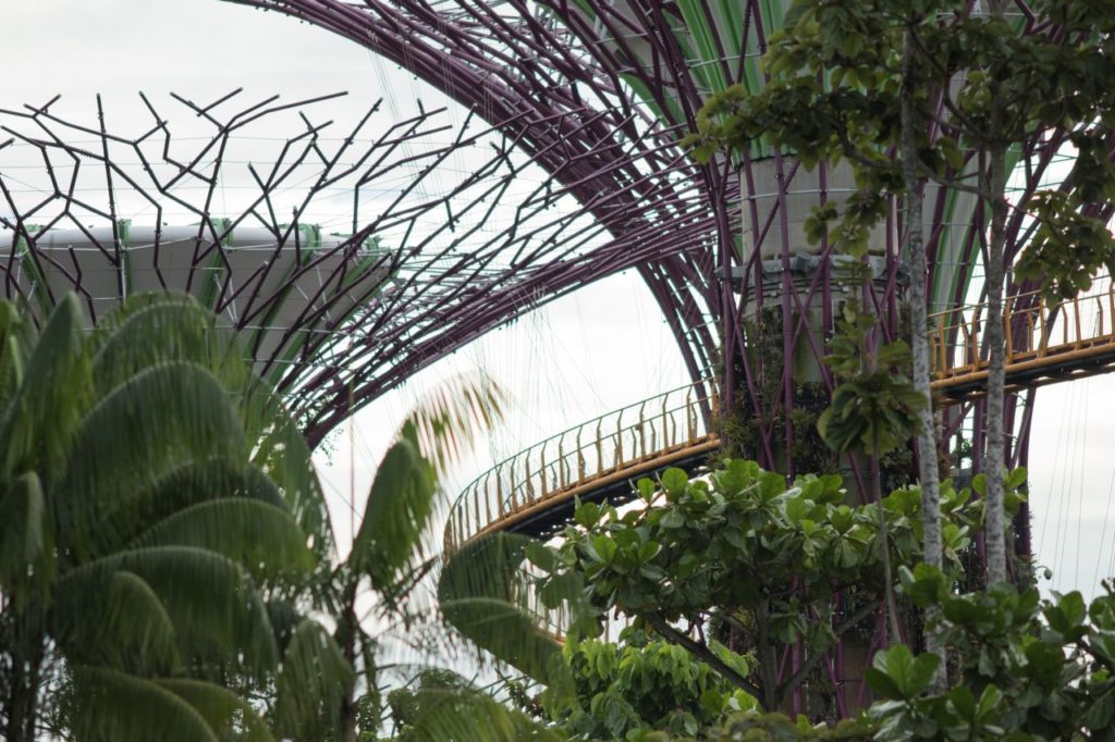 Gardens by the Bay Singapur