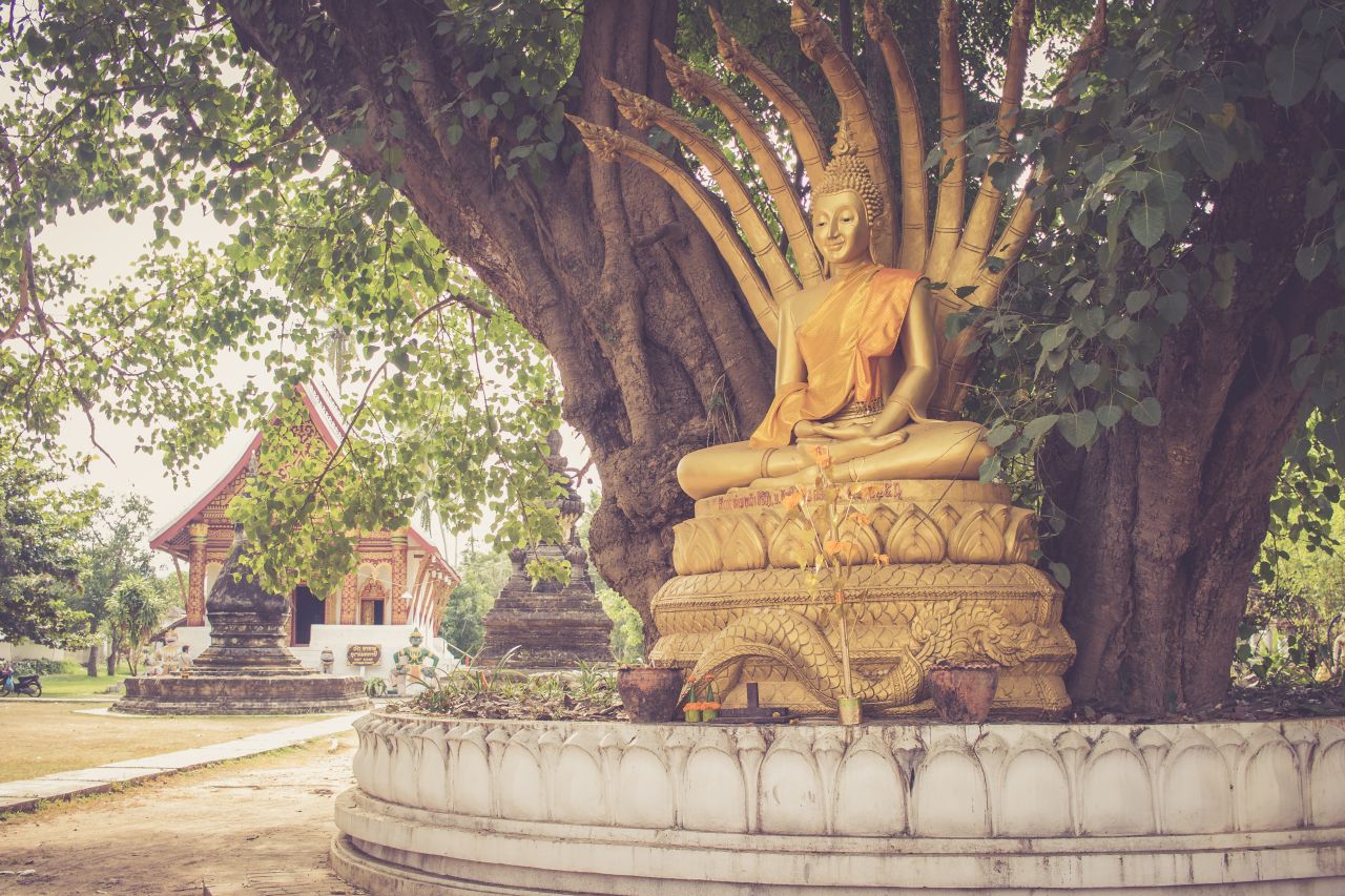 Budha pod stromom v chráme Luang Prabang, Laos