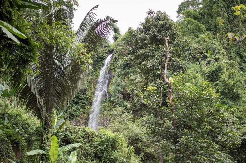 vodopád Kaeng Nyui ukrytý v hustom laoskom pralese, Vang Vieng