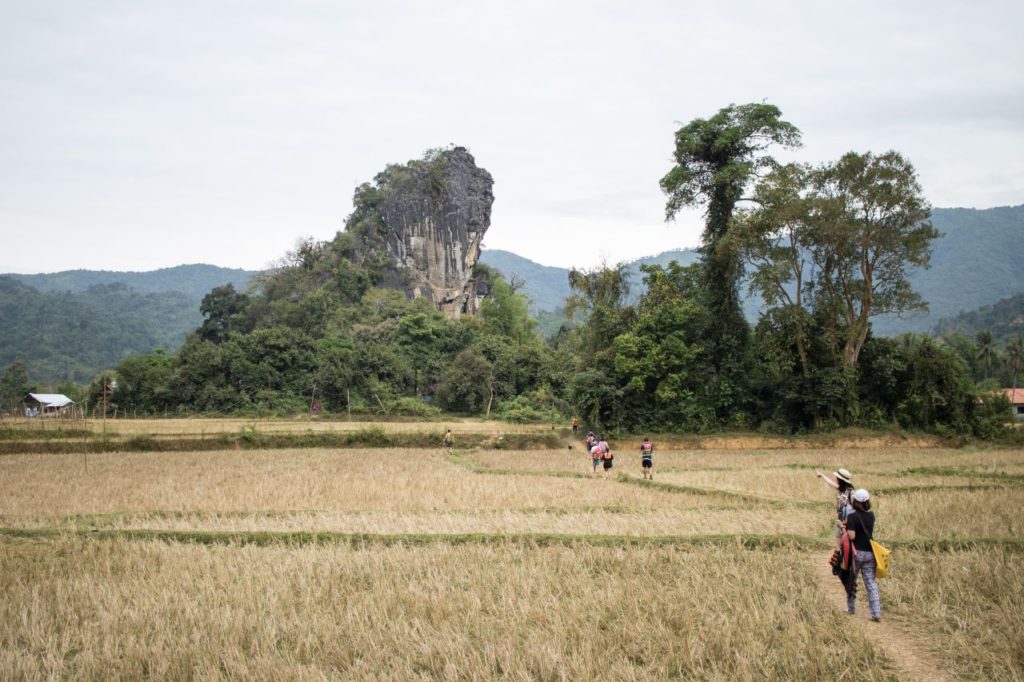 Jednoduchá krajina laoského vidieka s vápencovými kopcami, Vang Vieng