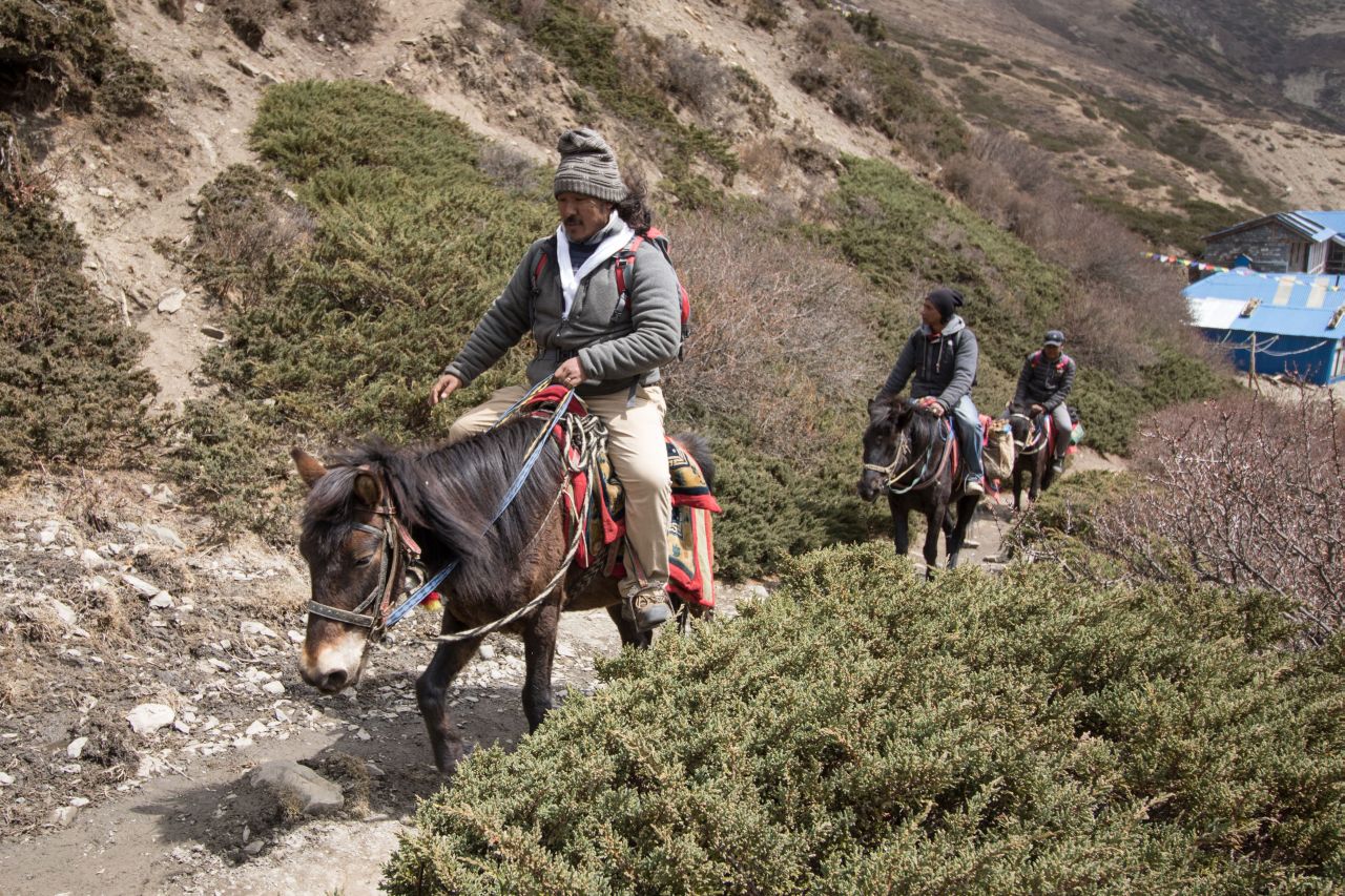 Doprava na treku okolo Annapurny