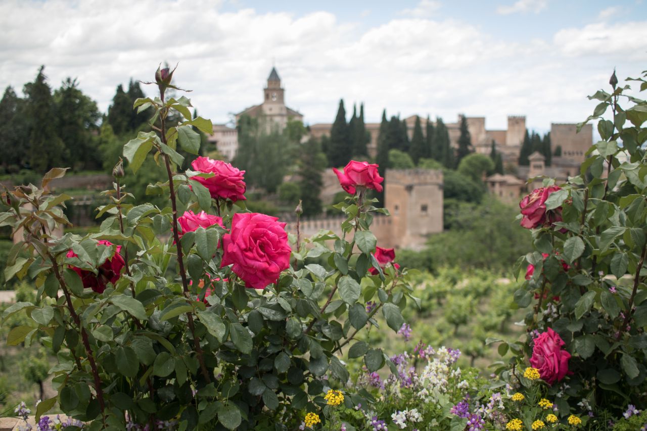 Výhľad na Alhambru zo záhrad Generalife, Granada, Andaluzia, Španielsko