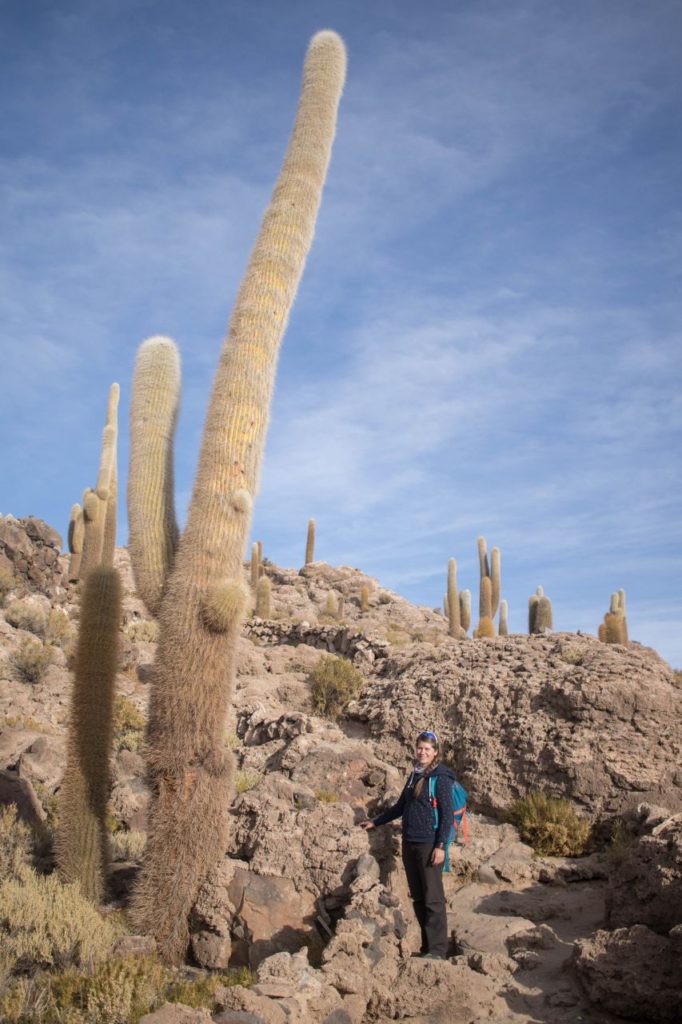 Obrovské kaktusy na Isla Incahuasi, Salar de Uyuni, Bolívia