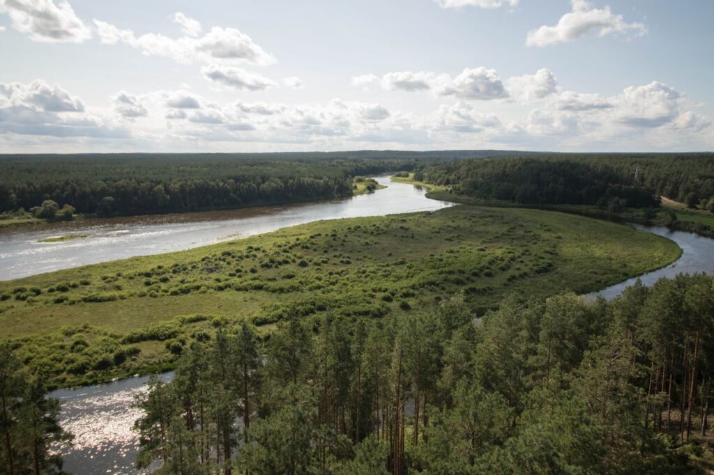 Výhľad na Národný park Dzūkios, Litva